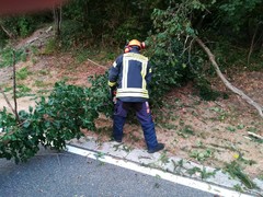 News: LZ-Odenthal Nord: Baum auf Strasse Odenthal-Menrath (09.08.2018, 20:23 Uhr)